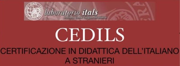 Logo cedils 2
